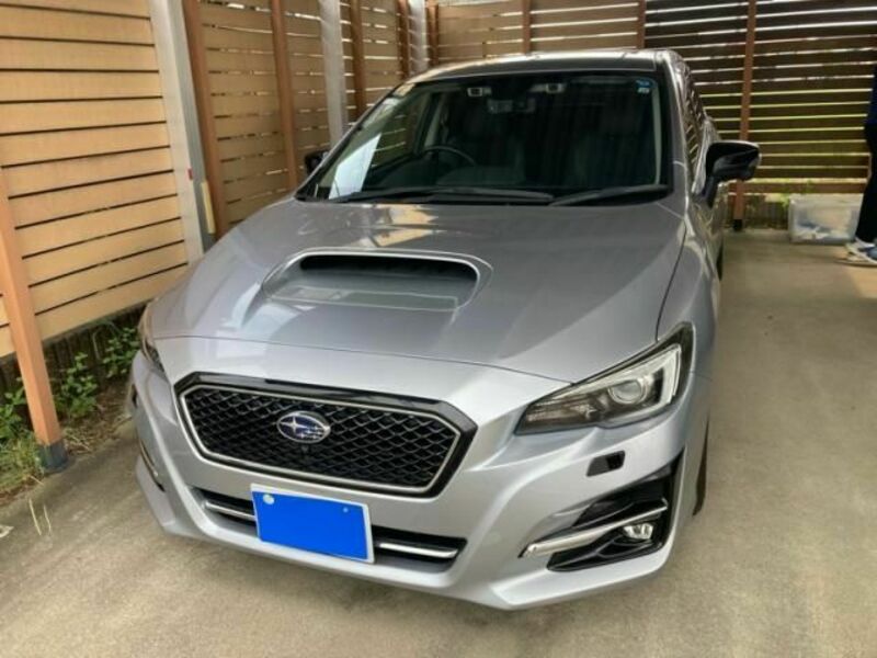 LEVORG-0