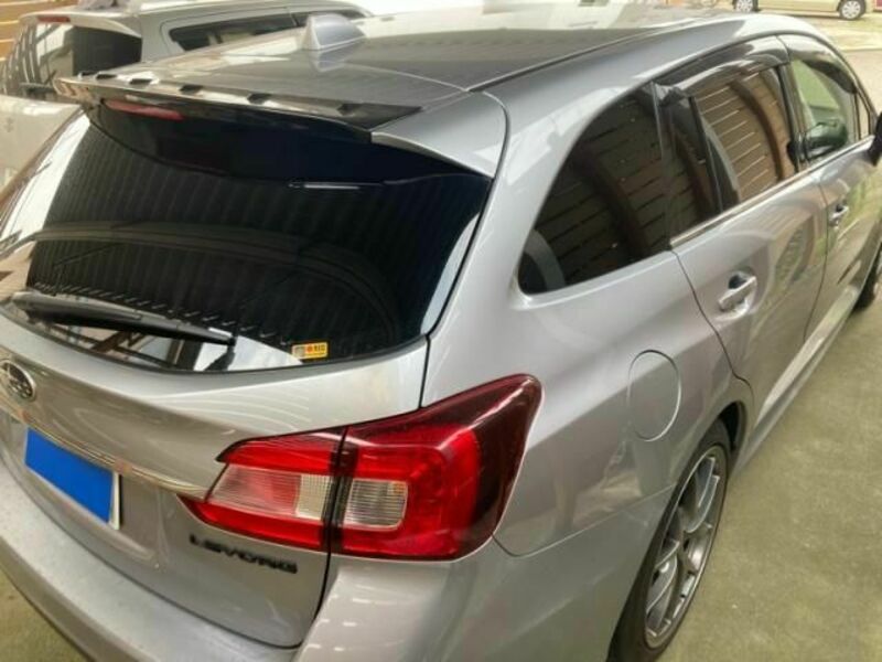 LEVORG