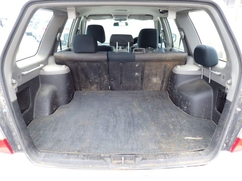 FORESTER