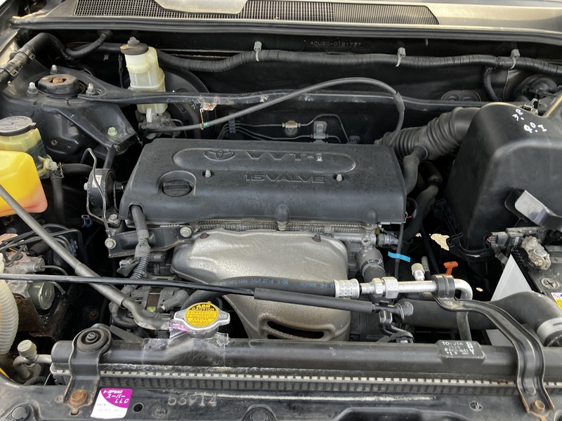 KLUGER L