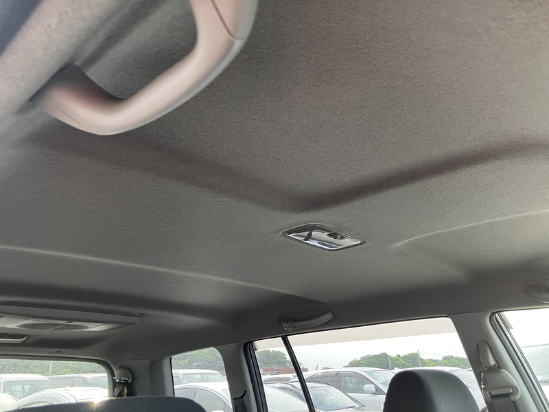 KLUGER L