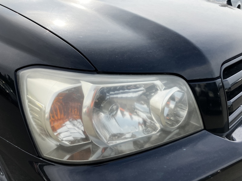 KLUGER L