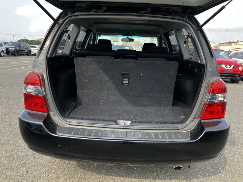 KLUGER L