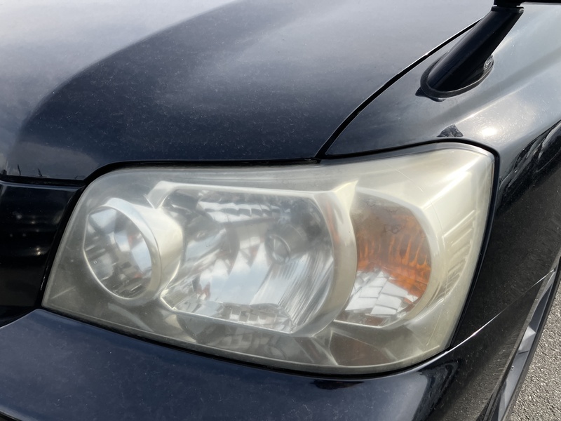 KLUGER L