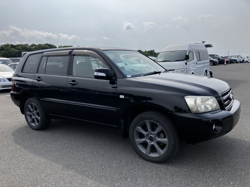 KLUGER L