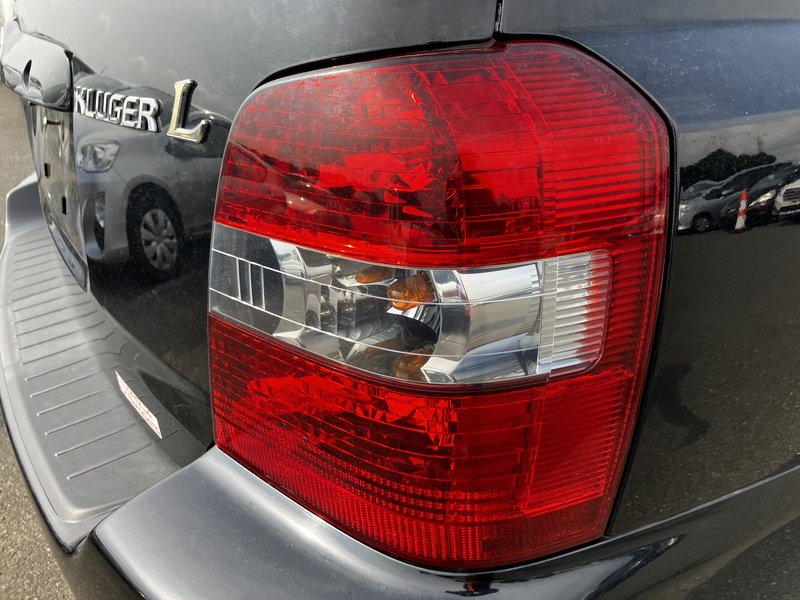 KLUGER L