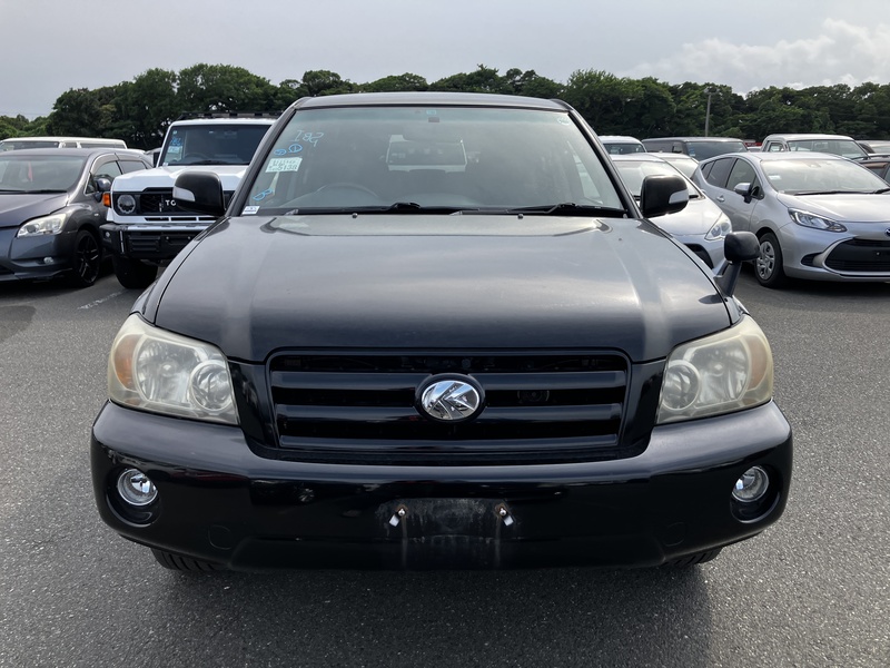 KLUGER L