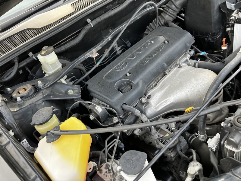 KLUGER L