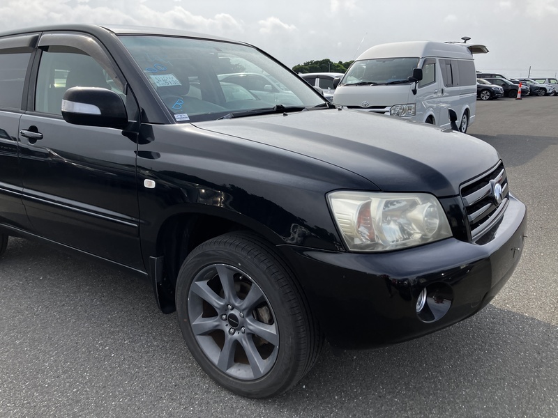 KLUGER L