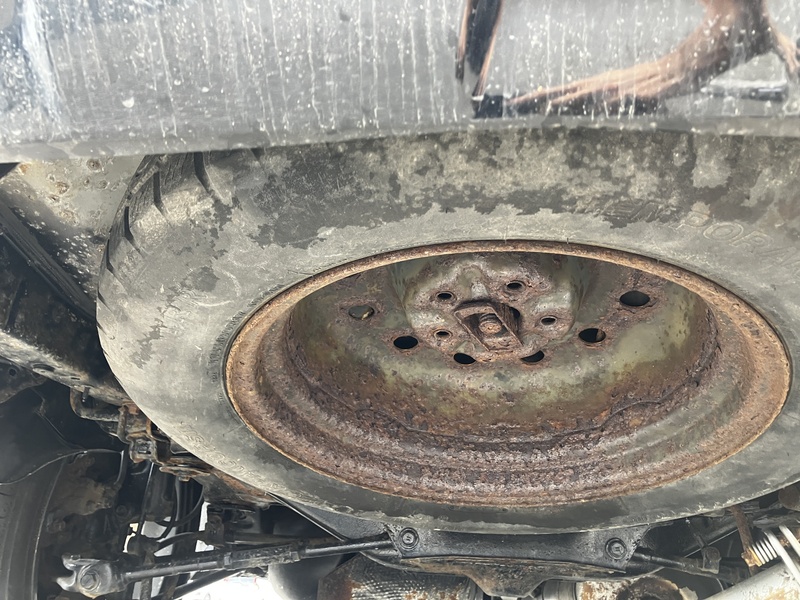 KLUGER L