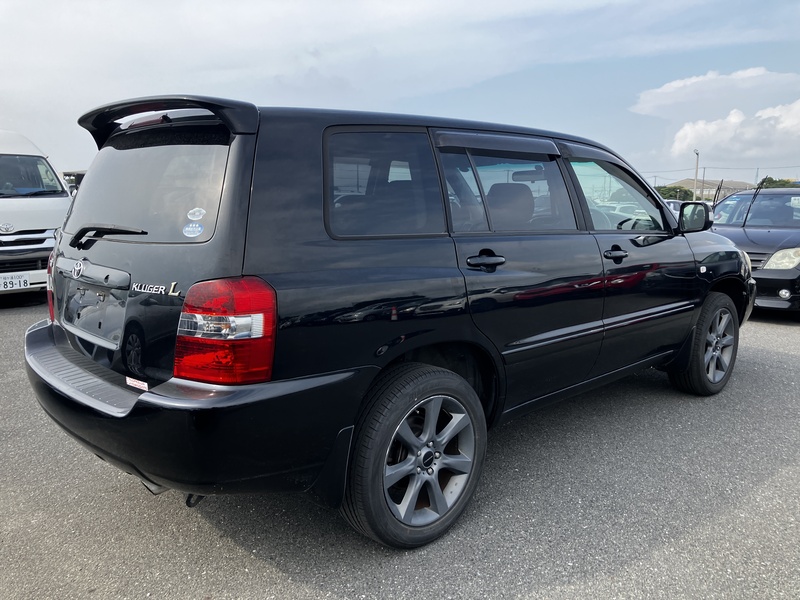 KLUGER L