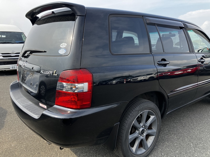 KLUGER L