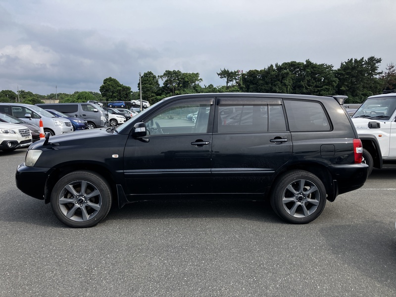 KLUGER L