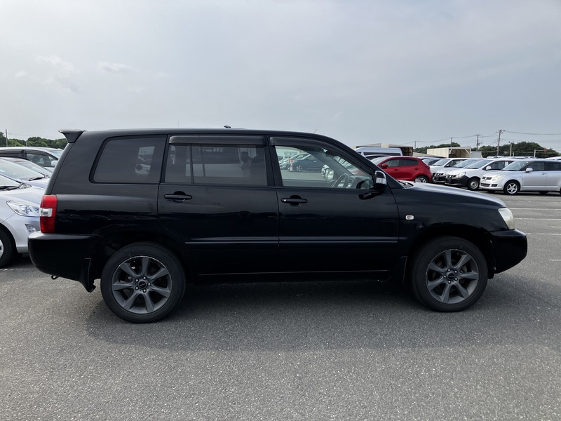 KLUGER L