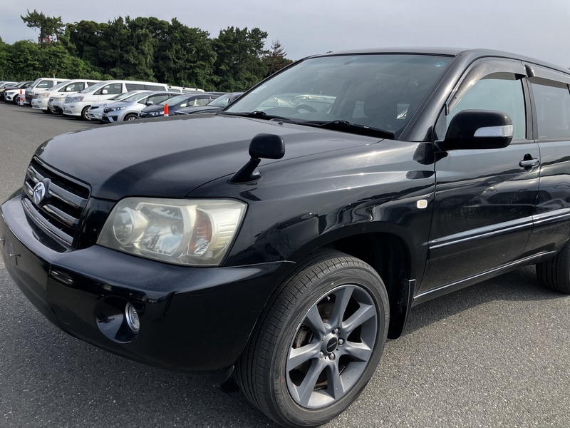 KLUGER L