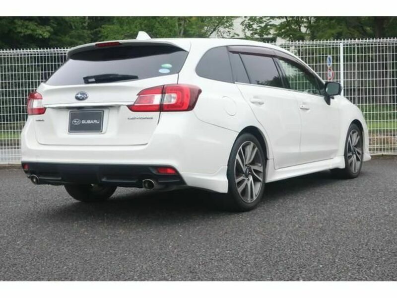 LEVORG
