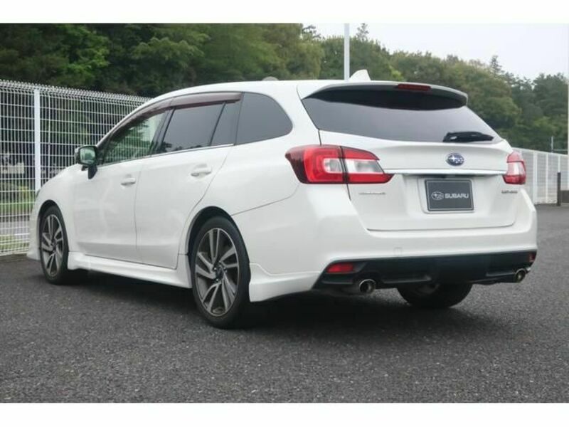 LEVORG