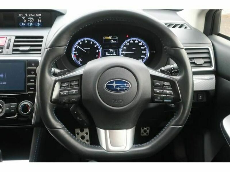 LEVORG