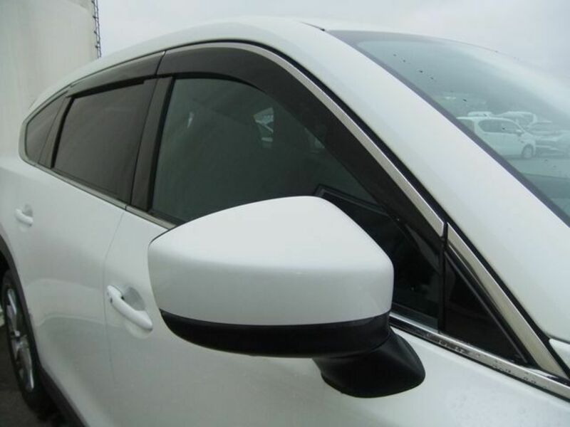 CX-8