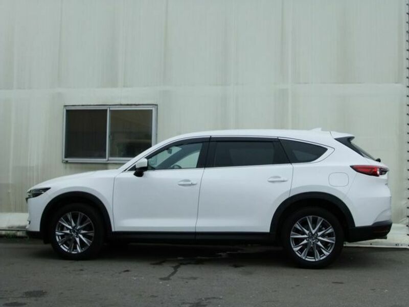 CX-8