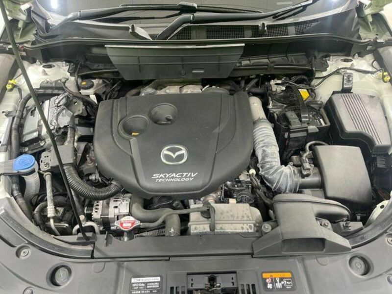 CX-8