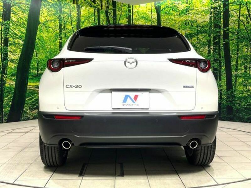 CX-30
