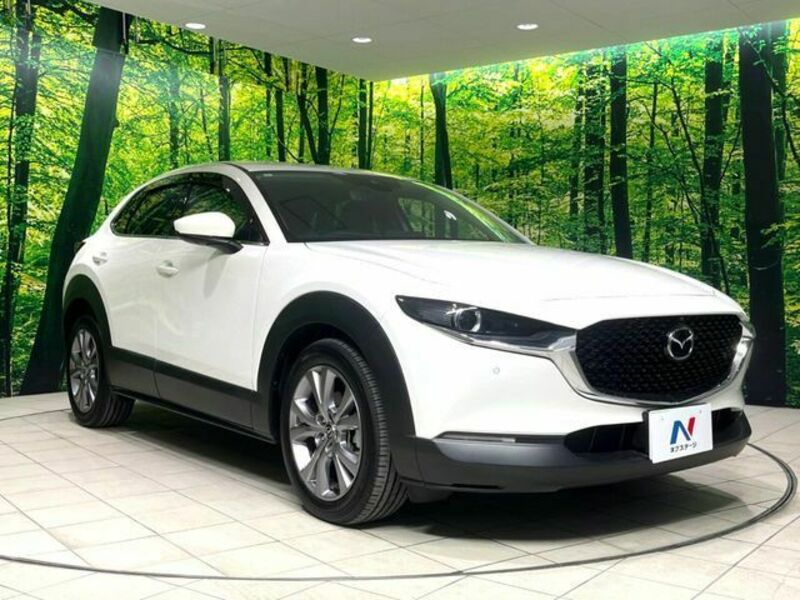 CX-30