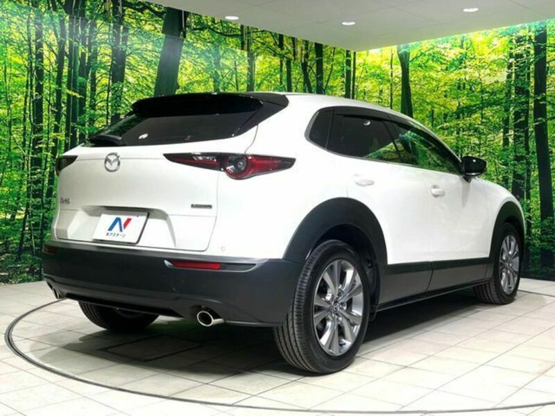CX-30