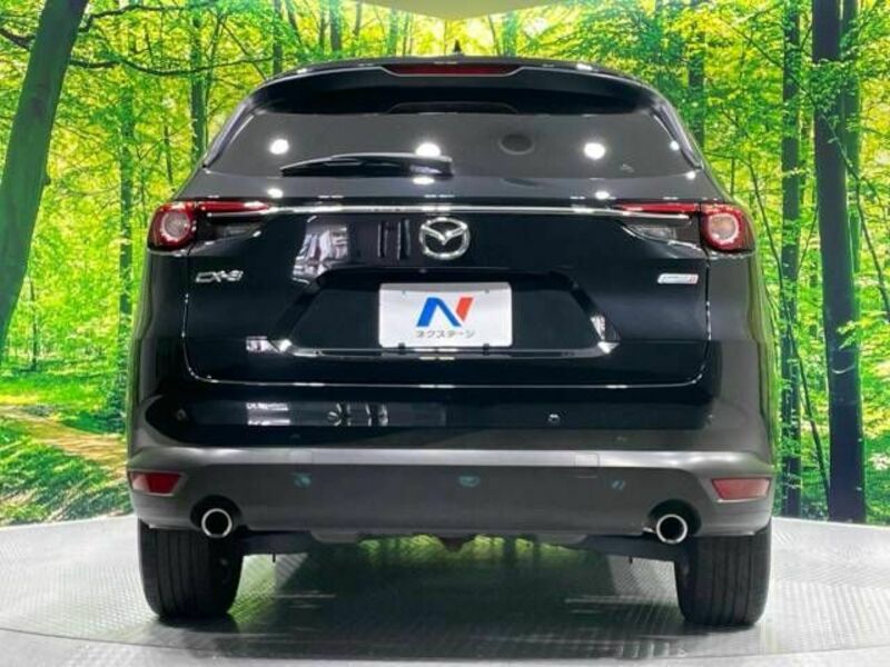 CX-8