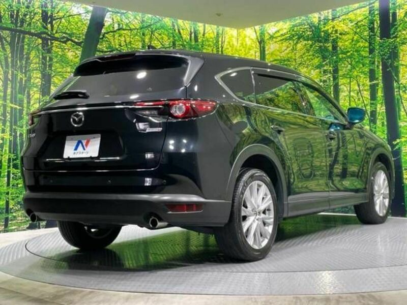 CX-8