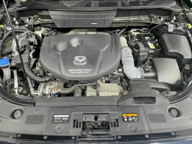 CX-8