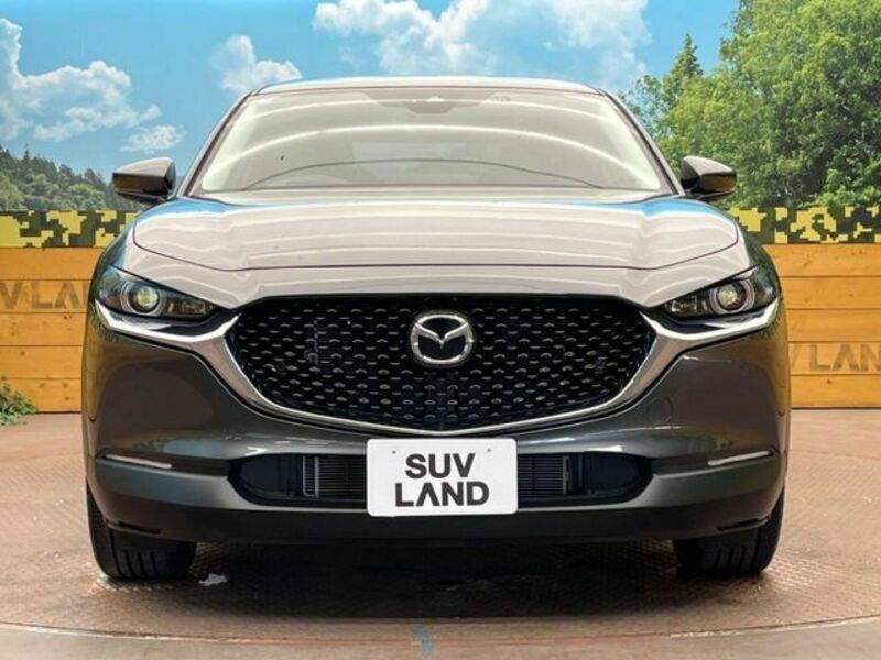 CX-30