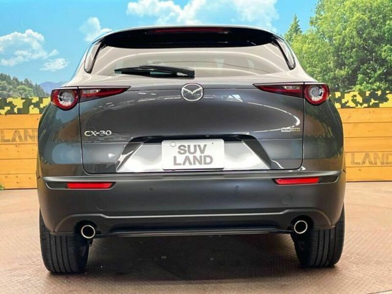 CX-30