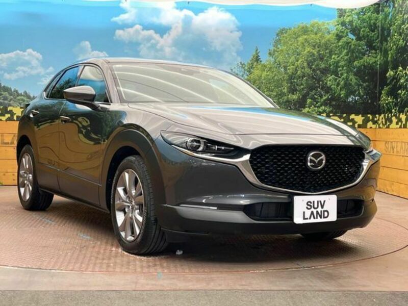 CX-30