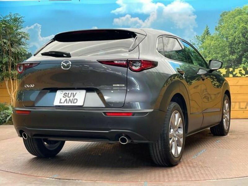CX-30
