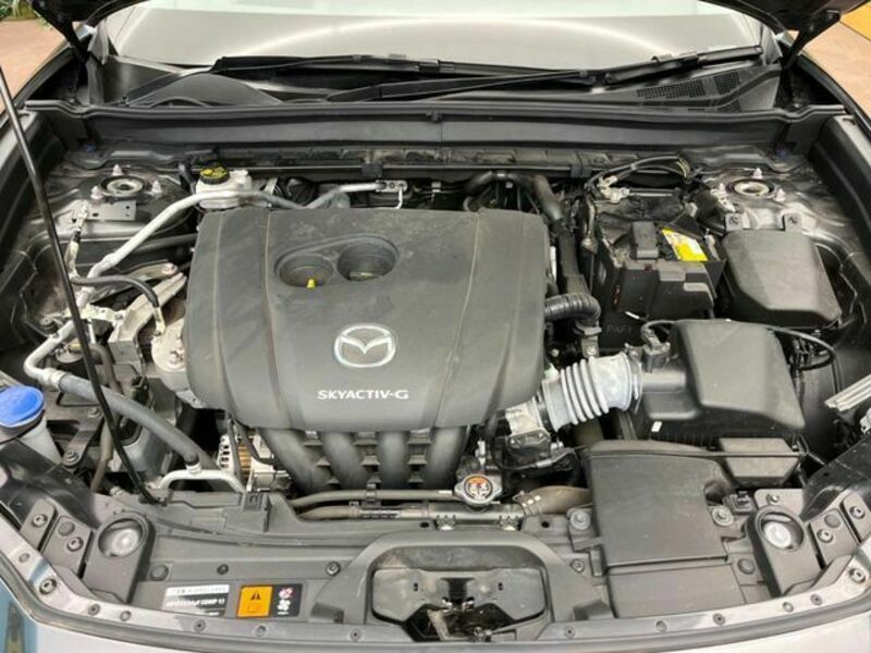 CX-30