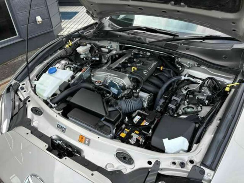 ROADSTER RF