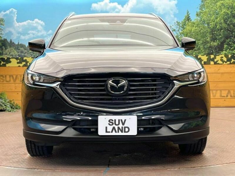 CX-8-13