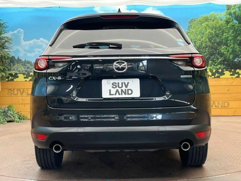 CX-8-14