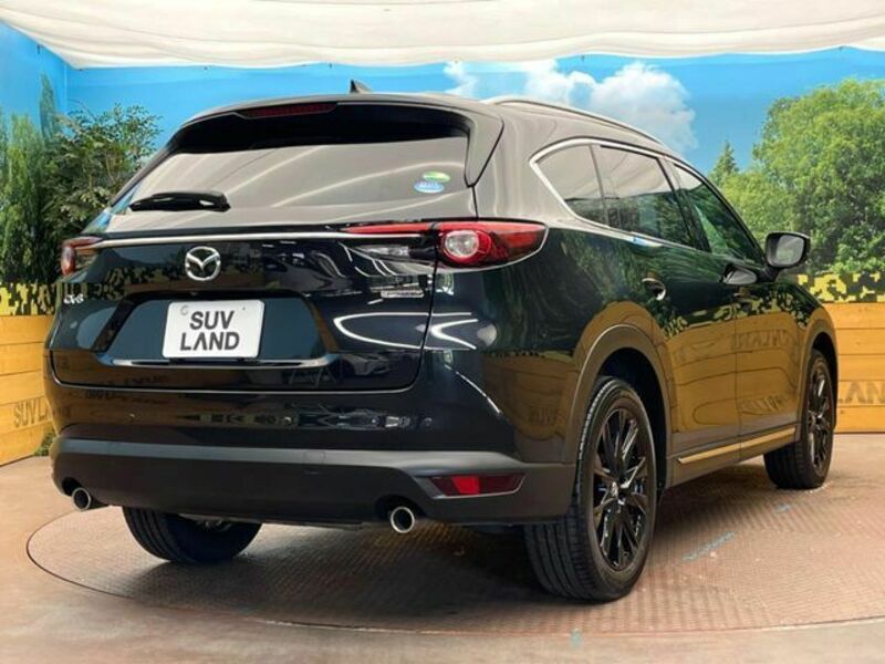 CX-8-16