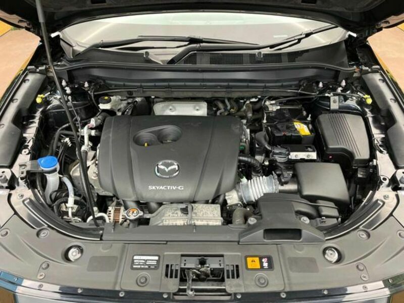 CX-8-17