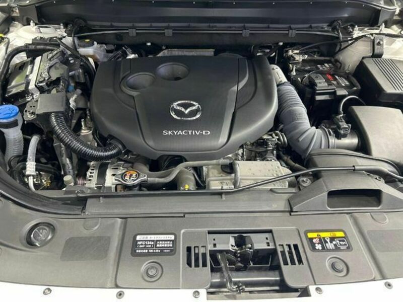 CX-8