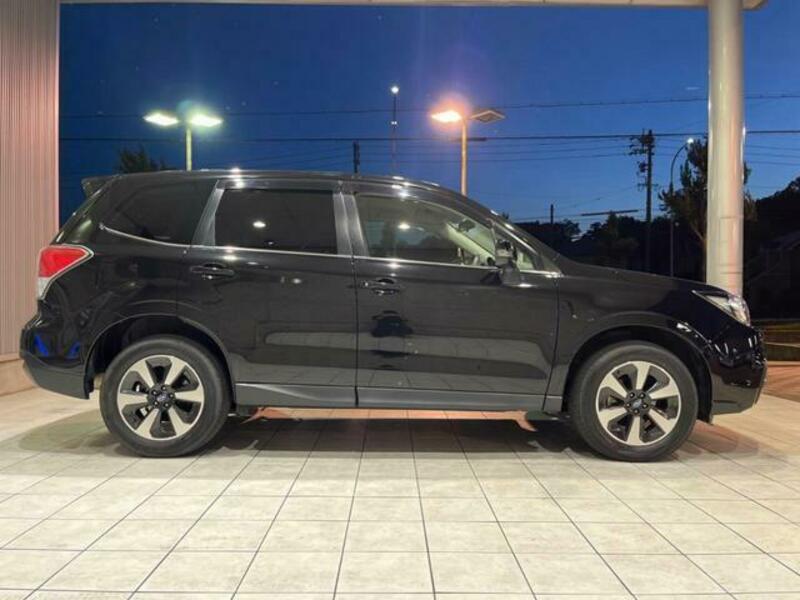 FORESTER