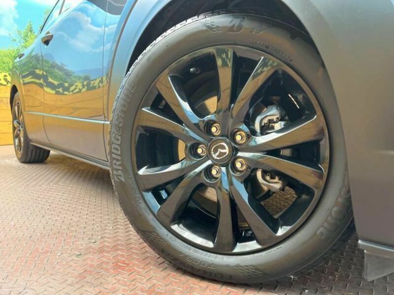 CX-30