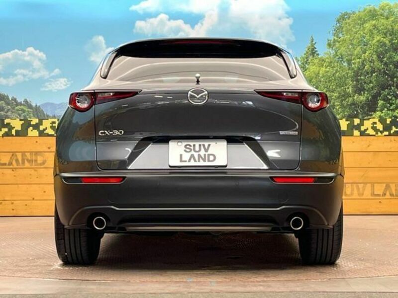 CX-30