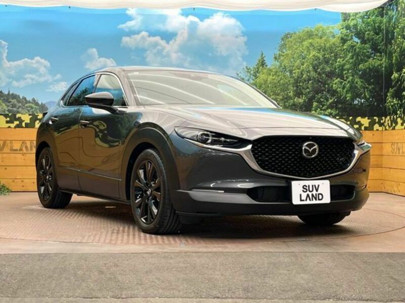 CX-30
