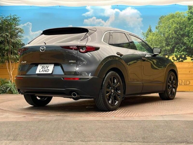 CX-30