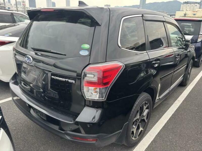 FORESTER