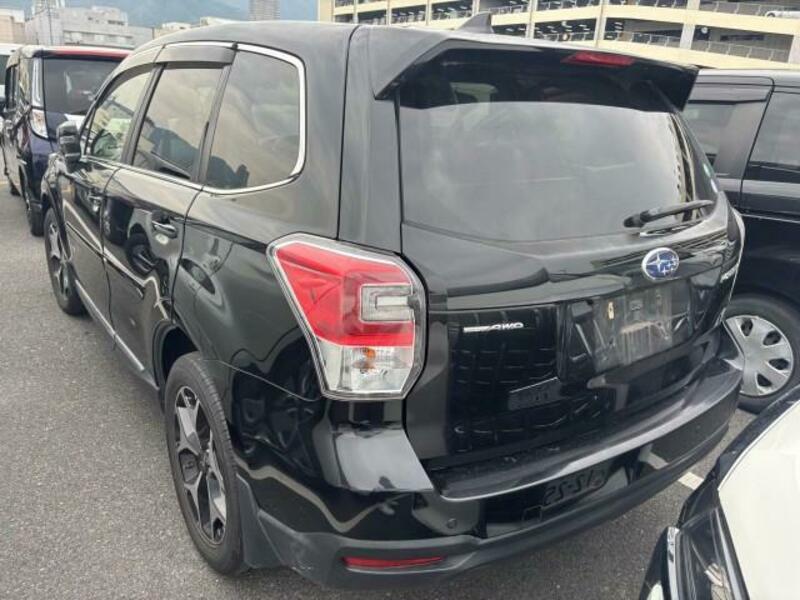 FORESTER
