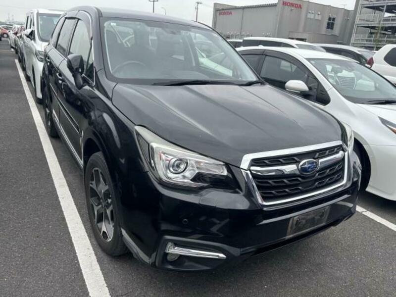 FORESTER